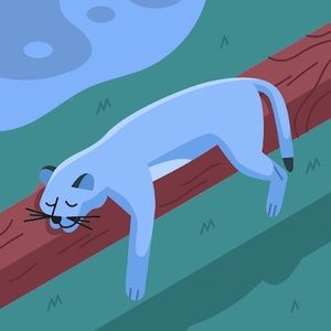 Meet your Posher, Shaikh mohammad